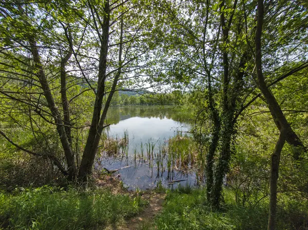 Pancharevo Gölü Bahar Manzarası, Sofya Şehir Bölgesi, Bulgaristan