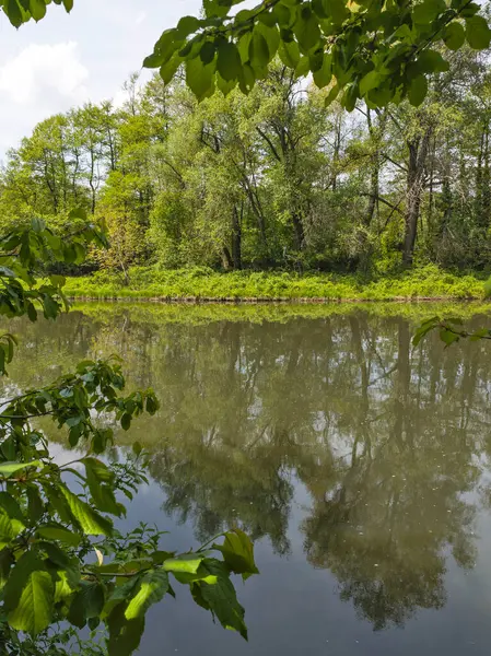 Pancharevo Gölü Bahar Manzarası, Sofya Şehir Bölgesi, Bulgaristan
