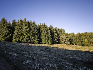 Rila Dağı 'nın Mechit yakınlarındaki muhteşem sonbahar manzarası ve Popova Kapa zirveleri, Bulgaristan