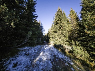 Rila Dağı 'nın Mechit yakınlarındaki muhteşem sonbahar manzarası ve Popova Kapa zirveleri, Bulgaristan