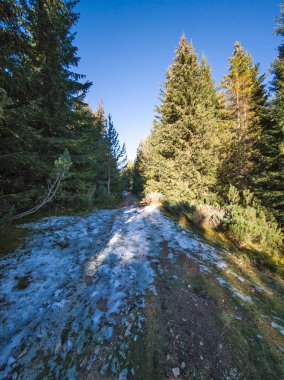 Rila Dağı 'nın Mechit yakınlarındaki muhteşem sonbahar manzarası ve Popova Kapa zirveleri, Bulgaristan