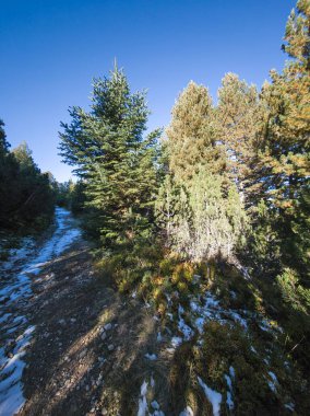 Rila Dağı 'nın Mechit yakınlarındaki muhteşem sonbahar manzarası ve Popova Kapa zirveleri, Bulgaristan