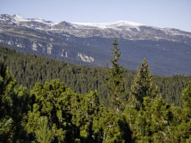 Rila Dağı 'nın Mechit yakınlarındaki muhteşem sonbahar manzarası ve Popova Kapa zirveleri, Bulgaristan
