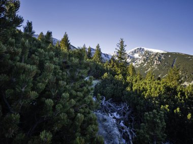 Rila Dağı 'nın Mechit yakınlarındaki muhteşem sonbahar manzarası ve Popova Kapa zirveleri, Bulgaristan