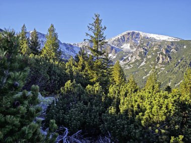 Rila Dağı 'nın Mechit yakınlarındaki muhteşem sonbahar manzarası ve Popova Kapa zirveleri, Bulgaristan