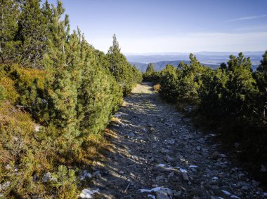 Rila Dağı 'nın Mechit yakınlarındaki muhteşem sonbahar manzarası ve Popova Kapa zirveleri, Bulgaristan