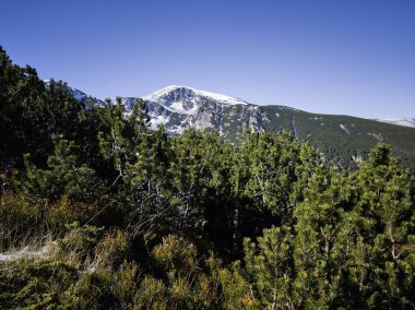 Rila Dağı 'nın Mechit yakınlarındaki muhteşem sonbahar manzarası ve Popova Kapa zirveleri, Bulgaristan