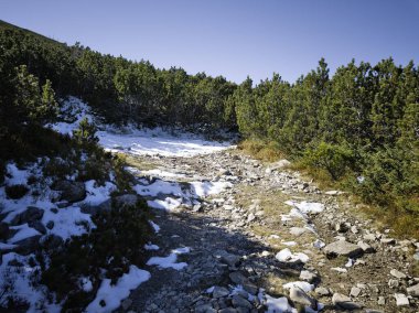 Rila Dağı 'nın Mechit yakınlarındaki muhteşem sonbahar manzarası ve Popova Kapa zirveleri, Bulgaristan