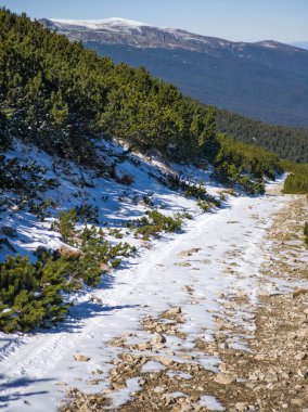 Rila Dağı 'nın Mechit yakınlarındaki muhteşem sonbahar manzarası ve Popova Kapa zirveleri, Bulgaristan