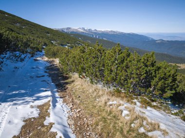 Rila Dağı 'nın Mechit yakınlarındaki muhteşem sonbahar manzarası ve Popova Kapa zirveleri, Bulgaristan