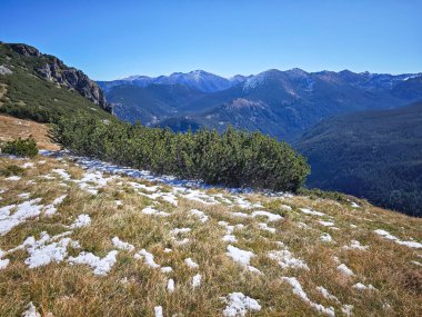 Rila Dağı 'nın Mechit yakınlarındaki muhteşem sonbahar manzarası ve Popova Kapa zirveleri, Bulgaristan