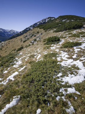 Rila Dağı 'nın Mechit yakınlarındaki muhteşem sonbahar manzarası ve Popova Kapa zirveleri, Bulgaristan