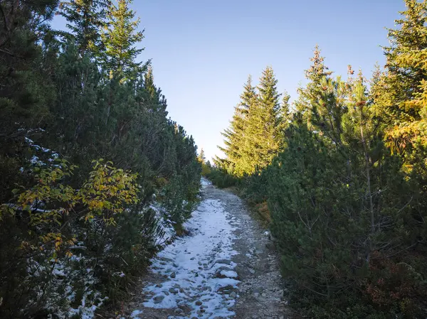 Rila Dağı 'nın Mechit yakınlarındaki muhteşem sonbahar manzarası ve Popova Kapa zirveleri, Bulgaristan