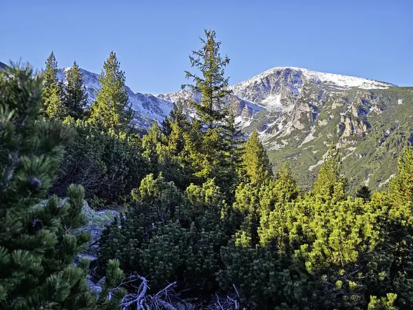 Rila Dağı 'nın Mechit yakınlarındaki muhteşem sonbahar manzarası ve Popova Kapa zirveleri, Bulgaristan