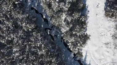 Bulgaristan 'ın Sofya Bölgesi Beli Iskar köyü yakınlarındaki Rila Dağı' nın kış manzarası