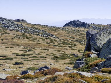 Bulgaristan 'ın Cherni Vrah zirvesi yakınlarındaki Vitosha Dağı' nın şaşırtıcı sonbahar manzarası