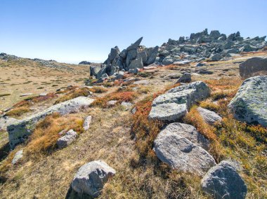 Bulgaristan 'ın Cherni Vrah zirvesi yakınlarındaki Vitosha Dağı' nın şaşırtıcı sonbahar manzarası