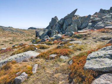 Bulgaristan 'ın Cherni Vrah zirvesi yakınlarındaki Vitosha Dağı' nın şaşırtıcı sonbahar manzarası