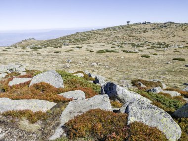Bulgaristan 'ın Cherni Vrah zirvesi yakınlarındaki Vitosha Dağı' nın şaşırtıcı sonbahar manzarası