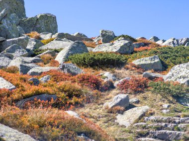 Bulgaristan 'ın Cherni Vrah zirvesi yakınlarındaki Vitosha Dağı' nın şaşırtıcı sonbahar manzarası