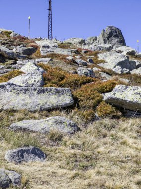 Bulgaristan 'ın Cherni Vrah zirvesi yakınlarındaki Vitosha Dağı' nın şaşırtıcı sonbahar manzarası