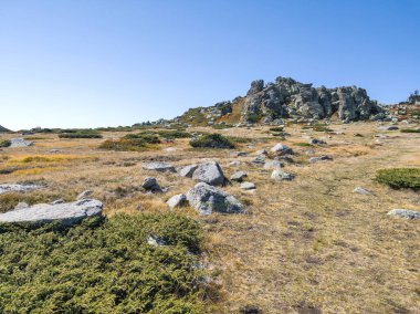 Bulgaristan 'ın Cherni Vrah zirvesi yakınlarındaki Vitosha Dağı' nın şaşırtıcı sonbahar manzarası
