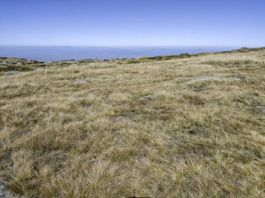 Bulgaristan 'ın Cherni Vrah zirvesi yakınlarındaki Vitosha Dağı' nın şaşırtıcı sonbahar manzarası