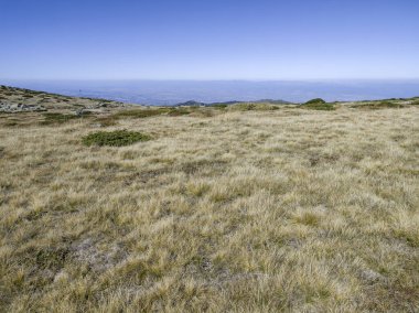 Bulgaristan 'ın Cherni Vrah zirvesi yakınlarındaki Vitosha Dağı' nın şaşırtıcı sonbahar manzarası