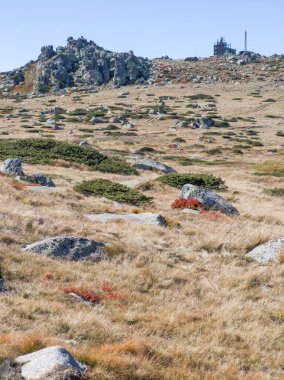 Bulgaristan 'ın Cherni Vrah zirvesi yakınlarındaki Vitosha Dağı' nın şaşırtıcı sonbahar manzarası