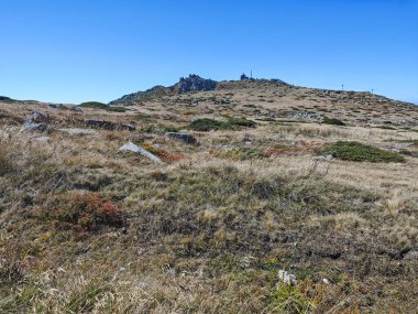 Bulgaristan 'ın Cherni Vrah zirvesi yakınlarındaki Vitosha Dağı' nın şaşırtıcı sonbahar manzarası