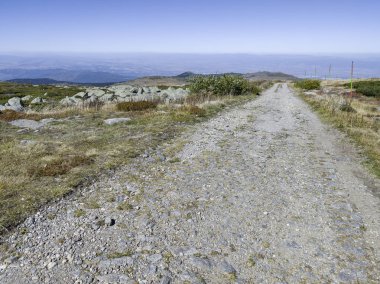 Bulgaristan 'ın Cherni Vrah zirvesi yakınlarındaki Vitosha Dağı' nın şaşırtıcı sonbahar manzarası