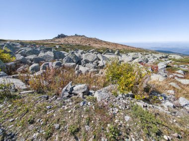 Bulgaristan 'ın Cherni Vrah zirvesi yakınlarındaki Vitosha Dağı' nın şaşırtıcı sonbahar manzarası