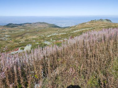 Bulgaristan 'ın Cherni Vrah zirvesi yakınlarındaki Vitosha Dağı' nın şaşırtıcı sonbahar manzarası