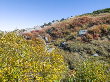 Bulgaristan 'ın Cherni Vrah zirvesi yakınlarındaki Vitosha Dağı' nın şaşırtıcı sonbahar manzarası