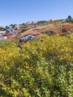 Bulgaristan 'ın Cherni Vrah zirvesi yakınlarındaki Vitosha Dağı' nın şaşırtıcı sonbahar manzarası