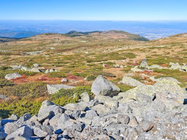 Bulgaristan 'ın Cherni Vrah zirvesi yakınlarındaki Vitosha Dağı' nın şaşırtıcı sonbahar manzarası