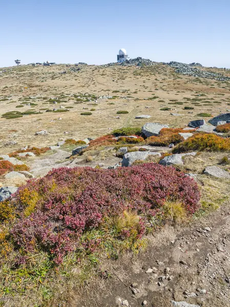 Bulgaristan 'ın Cherni Vrah zirvesi yakınlarındaki Vitosha Dağı' nın şaşırtıcı sonbahar manzarası