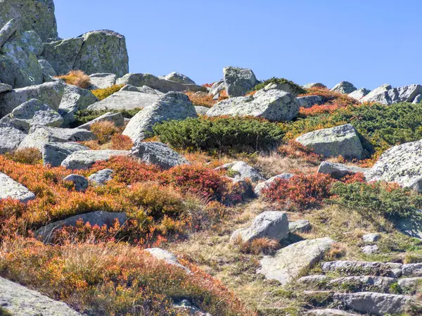 Bulgaristan 'ın Cherni Vrah zirvesi yakınlarındaki Vitosha Dağı' nın şaşırtıcı sonbahar manzarası