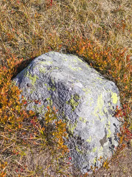 Bulgaristan 'ın Cherni Vrah zirvesi yakınlarındaki Vitosha Dağı' nın şaşırtıcı sonbahar manzarası