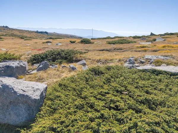 Bulgaristan 'ın Cherni Vrah zirvesi yakınlarındaki Vitosha Dağı' nın şaşırtıcı sonbahar manzarası