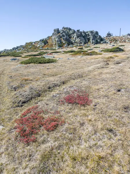 Bulgaristan 'ın Cherni Vrah zirvesi yakınlarındaki Vitosha Dağı' nın şaşırtıcı sonbahar manzarası