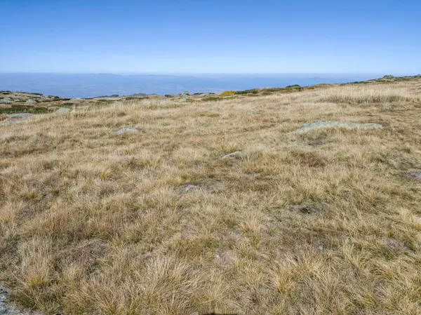 Bulgaristan 'ın Cherni Vrah zirvesi yakınlarındaki Vitosha Dağı' nın şaşırtıcı sonbahar manzarası