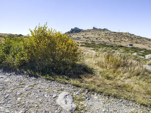 Bulgaristan 'ın Cherni Vrah zirvesi yakınlarındaki Vitosha Dağı' nın şaşırtıcı sonbahar manzarası