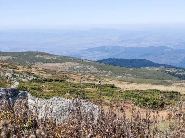 Bulgaristan 'ın Cherni Vrah zirvesi yakınlarındaki Vitosha Dağı' nın şaşırtıcı sonbahar manzarası