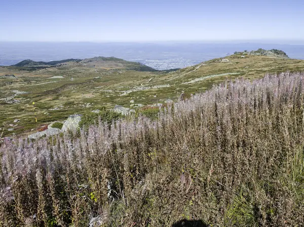 Bulgaristan 'ın Cherni Vrah zirvesi yakınlarındaki Vitosha Dağı' nın şaşırtıcı sonbahar manzarası