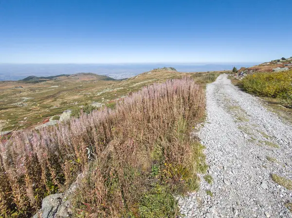 Bulgaristan 'ın Cherni Vrah zirvesi yakınlarındaki Vitosha Dağı' nın şaşırtıcı sonbahar manzarası