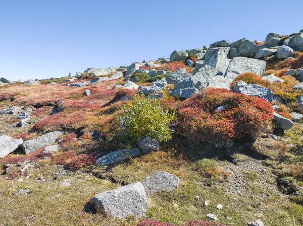 Bulgaristan 'ın Cherni Vrah zirvesi yakınlarındaki Vitosha Dağı' nın şaşırtıcı sonbahar manzarası