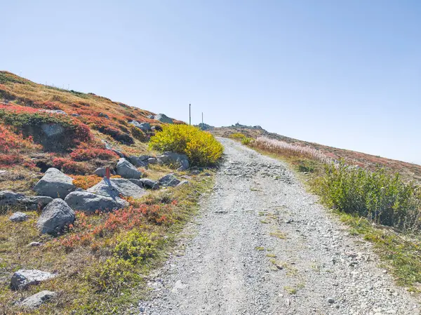 Bulgaristan 'ın Cherni Vrah zirvesi yakınlarındaki Vitosha Dağı' nın şaşırtıcı sonbahar manzarası