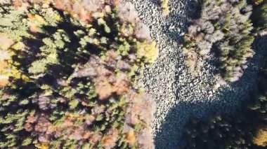 Bulgaristan 'ın başkenti Sofya' nın Vitosha Dağı 'ndaki Zlatnite Mostove (Altın Köprüler) adlı taştan nehrin hava sonbahar manzarası