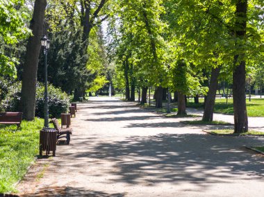 Bulgaristan 'ın Sofya kentindeki Borisova gradina (Boris Garden)' ın İnanılmaz Baharı